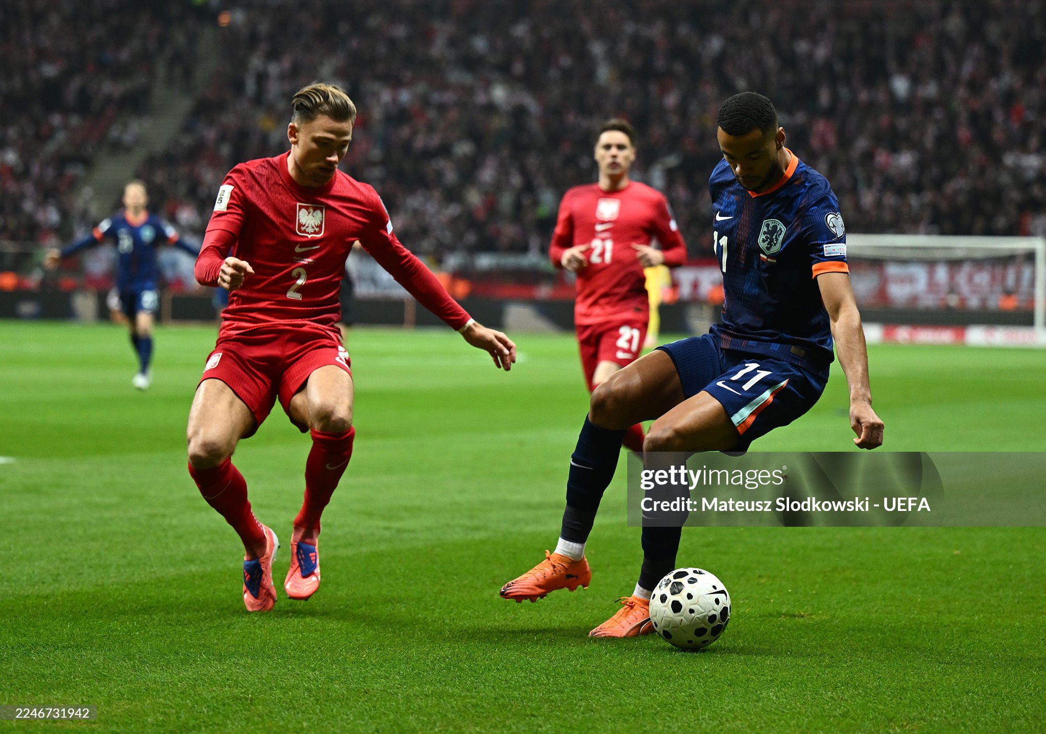 Cody Gakpo of Netherlands controls the ball whilst under pressure from Matty Cash of Poland during the FIFA World Cup 2026 qualifier match between Poland and Netherlands at PGE Narodowy on November 14, 2025 in Warsaw, Poland.