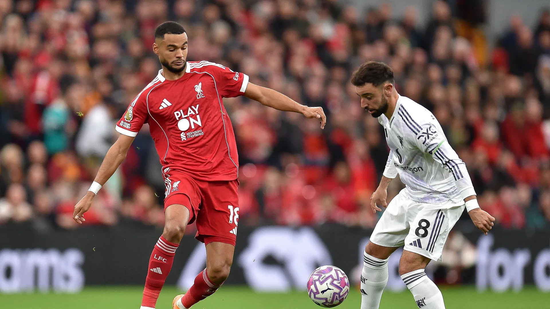 Cody Gakpo and Bruno Fernandes fighting for the ball - sportzpoint.com