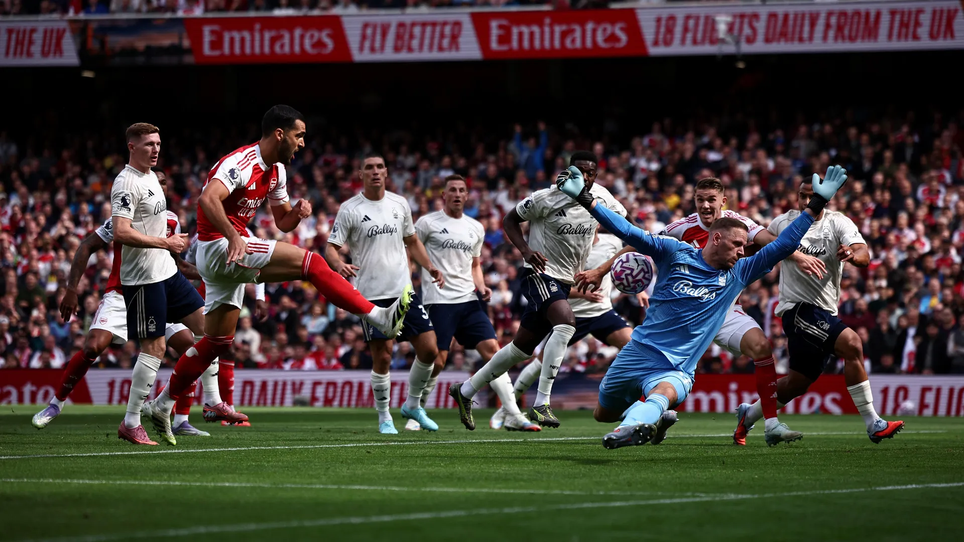 Arsenal vs Nottingham Forrest, Premier League 2025-26 LIVE Blog: LIVE Scores, News, Updates and Free Commentary