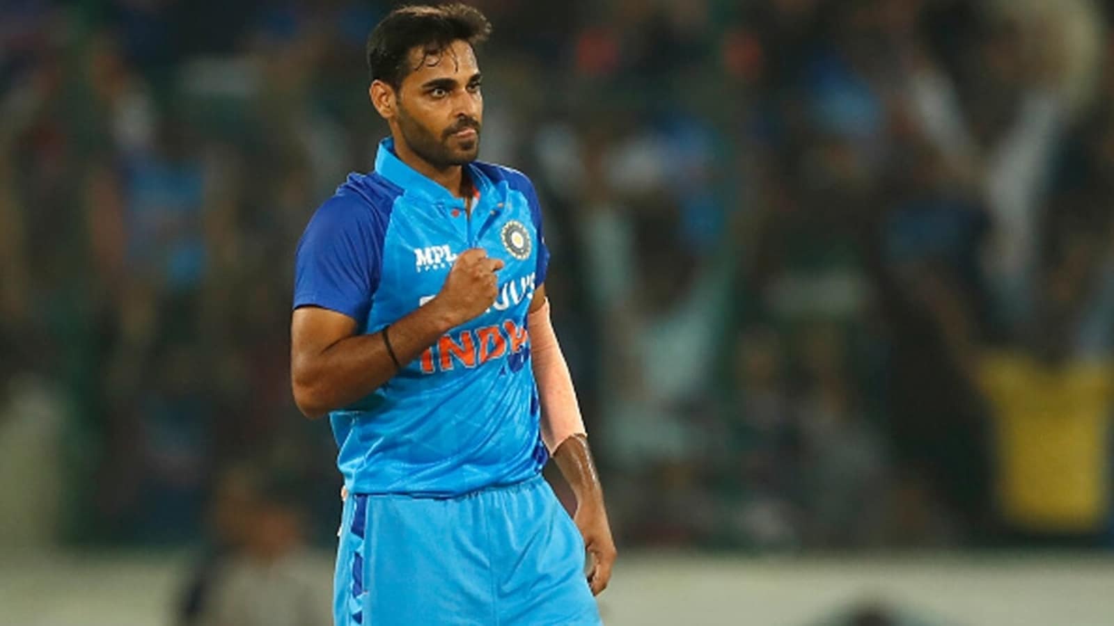 Most Wickets in India vs Pakistan Matches in Asia Cup (ODI+T20I)
